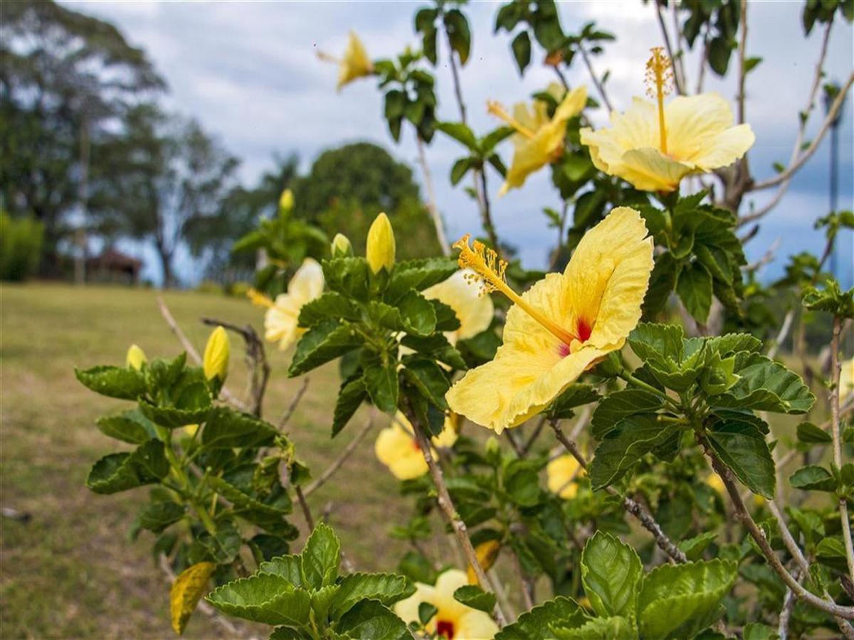Hotel Arrayanes Del Quindio مونتينيغرو المظهر الخارجي الصورة